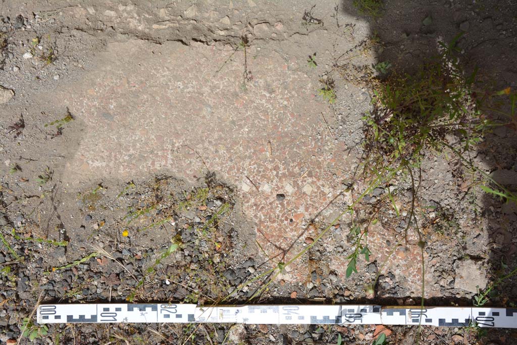 IX.5.14 Pompeii. May 2017. Room “b”, flooring near north wall of atrium.
Foto Christian Beck, ERC Grant 681269 DÉCOR.