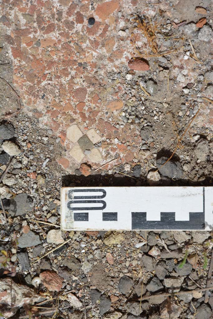 IX.5.14 Pompeii. May 2017. Room “b”, detail of flooring near north wall of atrium.
Foto Christian Beck, ERC Grant 681269 DÉCOR.