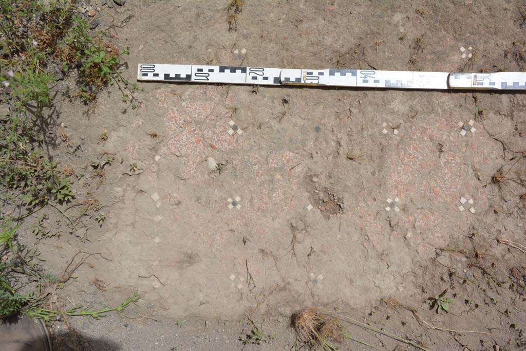 IX.5.14 Pompeii. May 2017. Room “b”, flooring in atrium.
Foto Christian Beck, ERC Grant 681269 DÉCOR.