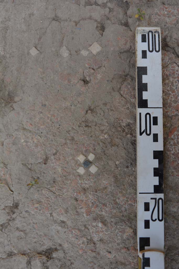 IX.5.14 Pompeii. May 2017. Room “b”, detail of flooring in atrium.
Foto Christian Beck, ERC Grant 681269 DÉCOR.