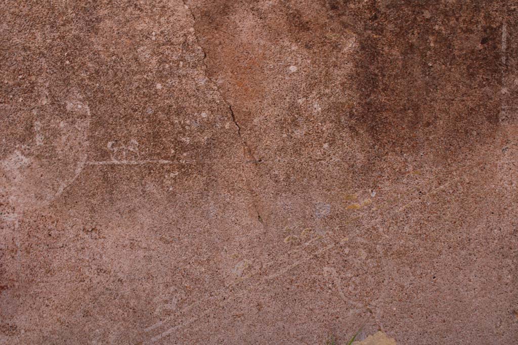 IX.5.14 Pompeii. May 2019. Room �f�, detail from zoccolo on east wall at north end
Foto Christian Beck, ERC Grant 681269 D�COR.
