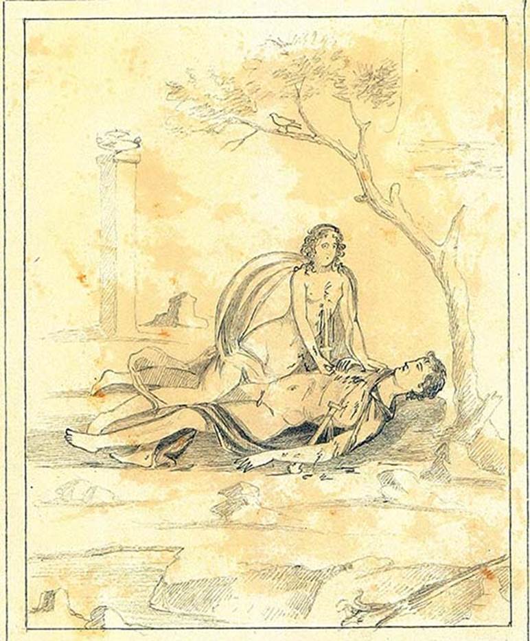 IX.5.14 Pompeii. Room �f�, centre of south wall of triclinium. Copy by Discanno of painting of Pyramus and Thisbe. DAIR 83.262. Photo � Deutsches Arch�ologisches Institut, Abteilung Rom, Arkiv. See http://arachne.uni-koeln.de/item/marbilder/5343162