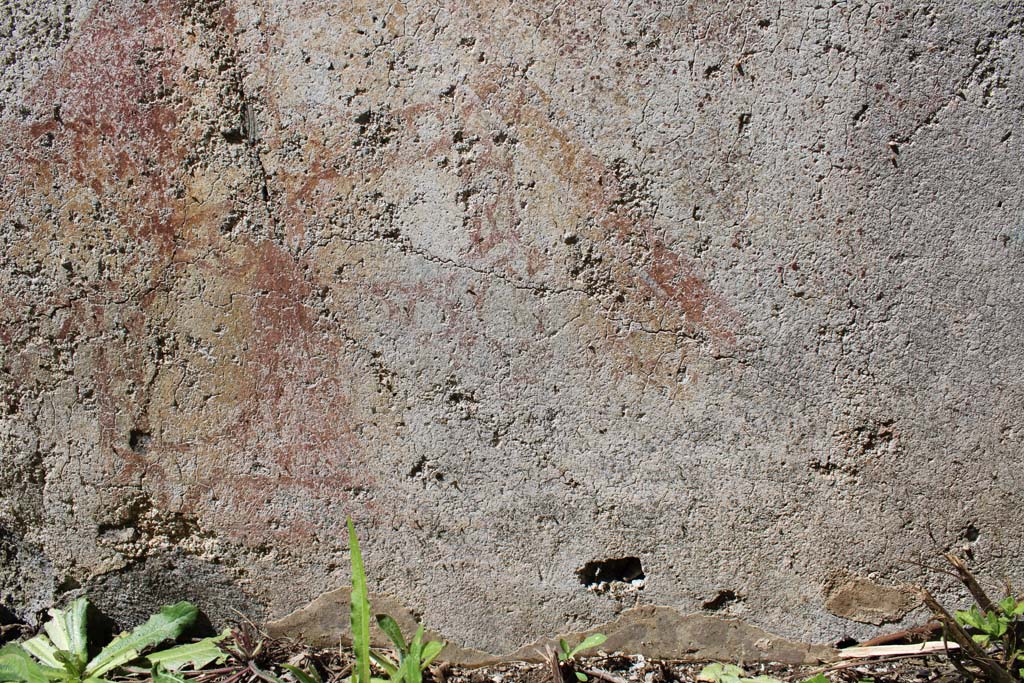 IX.5.14 Pompeii. May 2019. Room �e�, north ala, painted zoccolo on west wall.
Foto Christian Beck, ERC Grant 681269 D�COR.
