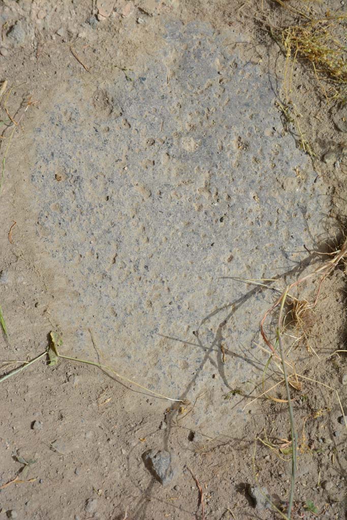 IX.5.14 Pompeii. May 2017. Room �d�, detail of flooring.
Foto Christian Beck, ERC Grant 681269 D�COR.

