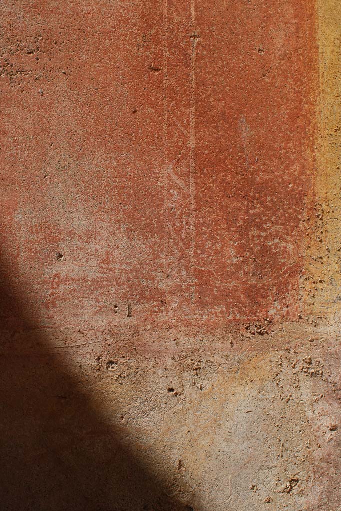 IX.5.14 Pompeii. May 2019. Room �d�, detail of painted border edging a panel on west wall.
Foto Christian Beck, ERC Grant 681269 D�COR.
