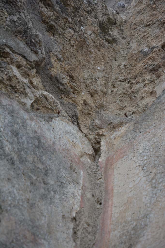 IX.5.14 Pompeii. May 2017. Room �d�, upper north-west corner.
Foto Christian Beck, ERC Grant 681269 D�COR.
