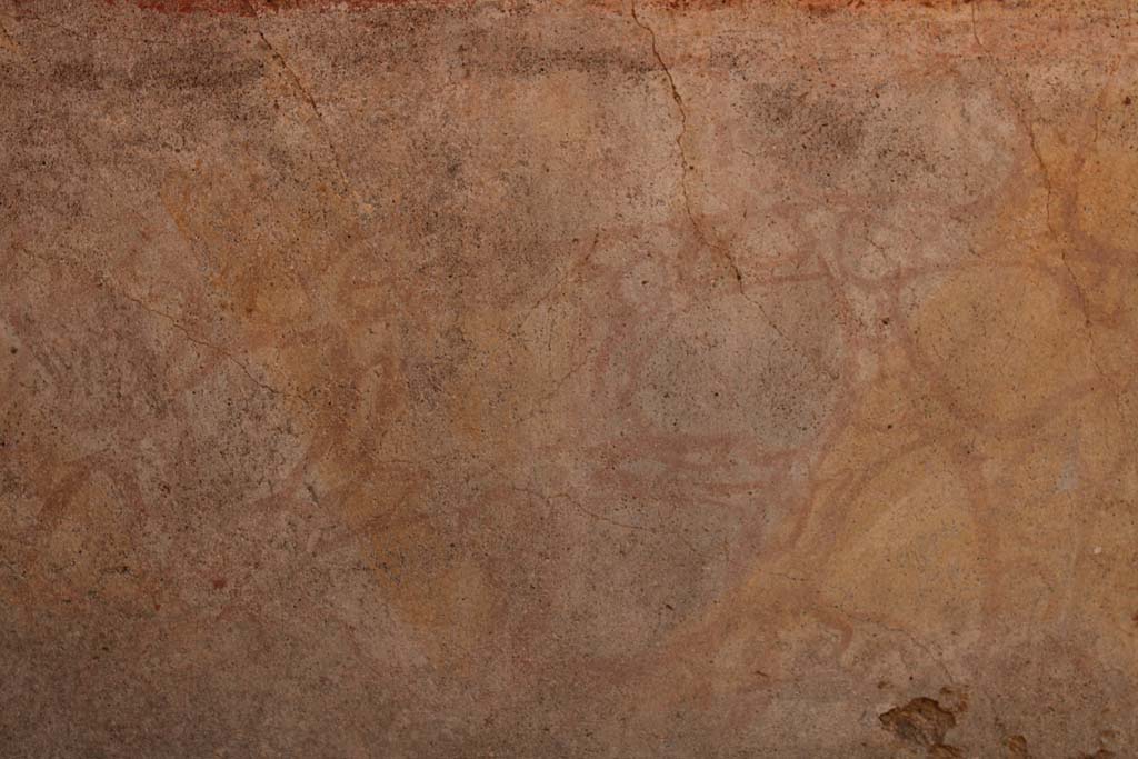 IX.5.14 Pompeii. May 2019. Room �d�, south wall, detail from painted zoccolo.
Foto Christian Beck, ERC Grant 681269 D�COR.

