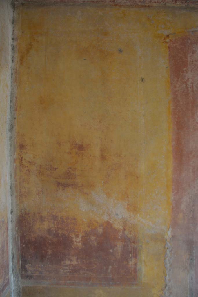 IX.5.14 Pompeii. May 2017. 
Room �c�, detail from yellow side panel at east end of south wall.  
Foto Christian Beck, ERC Grant 681269 D�COR.
