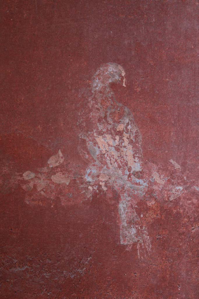 IX.5.16 Pompeii. May 2019. Room �g�, detail of painted bird from west end of north wall.
Foto Christian Beck, ERC Grant 681269 D�COR.

