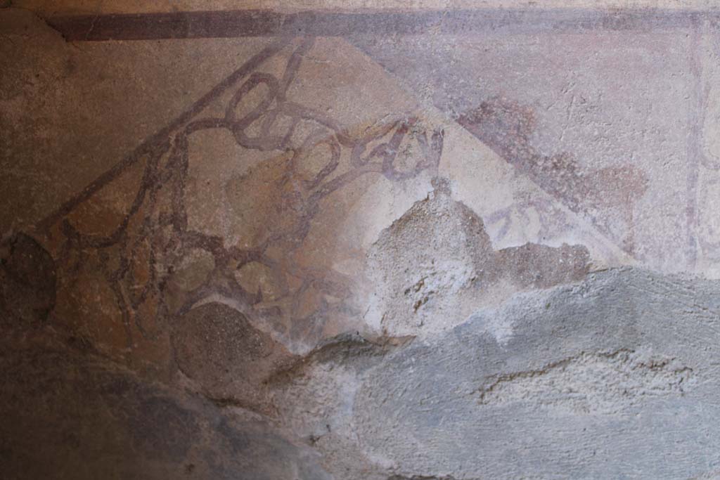 IX.5.16 Pompeii. May 2019. Room �g�, detail of zoccolo on north wall.
Foto Christian Beck, ERC Grant 681269 D�COR.
