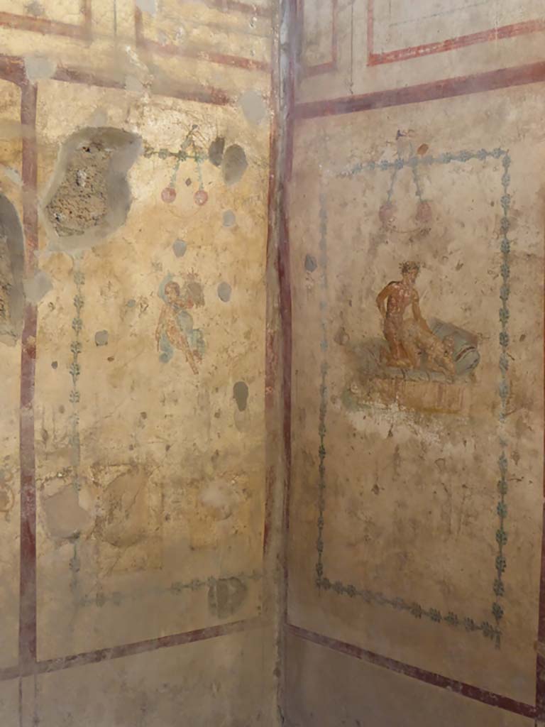 IX.5.16 Pompeii. January 2017. Cubiculum f’, north-west corner.
Foto Annette Haug, ERC Grant 681269 DÉCOR
