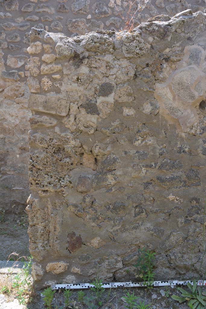 IX.5.17/6 Pompeii. May 2017. Room x, detail from south end of west wall.
Foto Christian Beck, ERC Grant 681269 D�COR.
