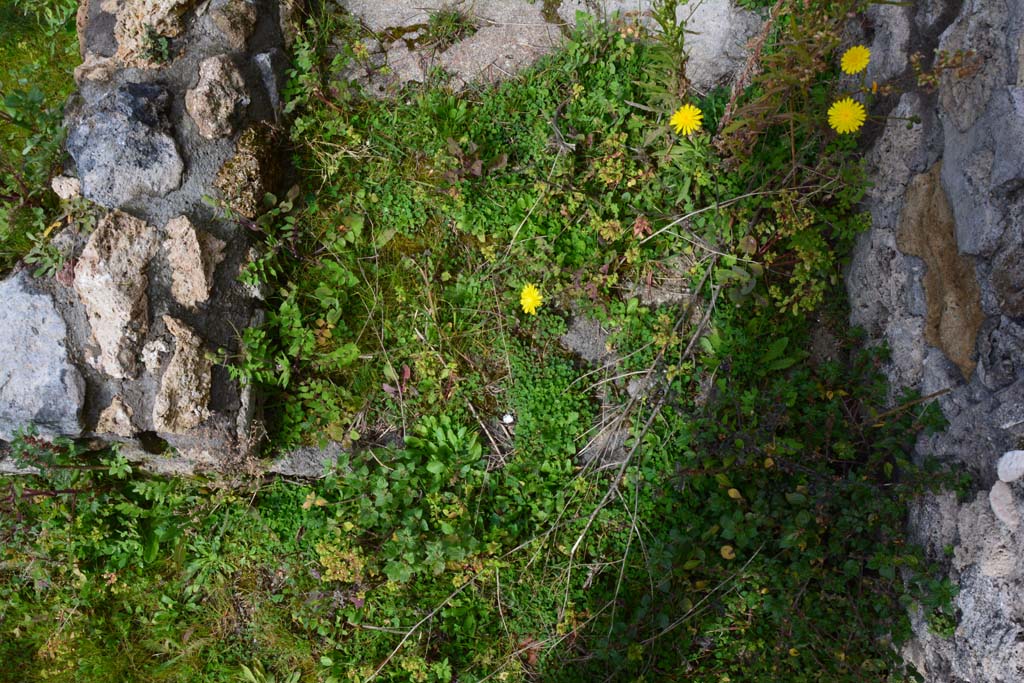 IX.5.18 Pompeii. March 2017. Room k, doorway threshold.
Foto Christian Beck, ERC Grant 681269 DÉCOR.

