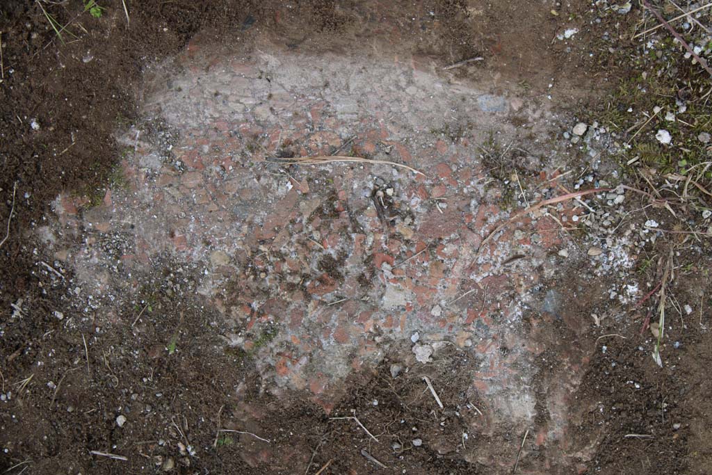 IX.5.18 Pompeii. May 2019. Room p, flooring of cocciopesto.
Foto Christian Beck, ERC Grant 681269 DÉCOR.
