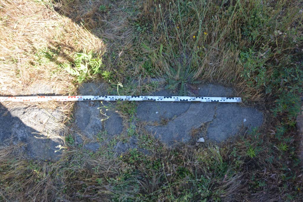 IX.5.18 Pompeii. May 2017. Room l (L), doorway threshold.
Foto Christian Beck, ERC Grant 681269 DÉCOR.

