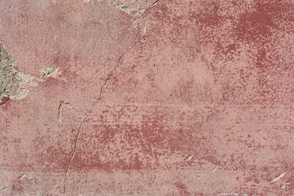 IX.5.18 Pompeii. March 2017. Room n, detail of painted decoration on north wall.
Foto Christian Beck, ERC Grant 681269 DÉCOR.

