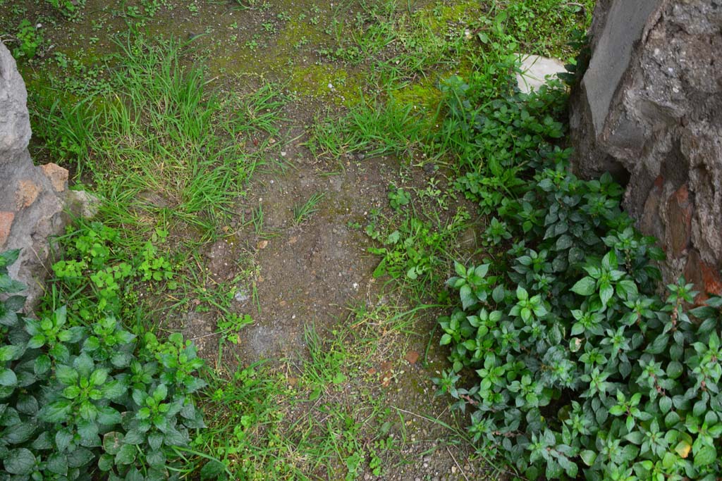 IX.5.18 Pompeii. March 2017. Room d, threshold of doorway from atrium b.
Foto Christian Beck, ERC Grant 681269 DÉCOR.
