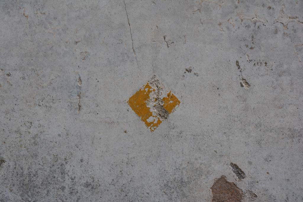 IX.5.18 Pompeii. March 2017. Room f, north wall detail from zoccolo. 
Foto Christian Beck, ERC Grant 681269 DÉCOR.
