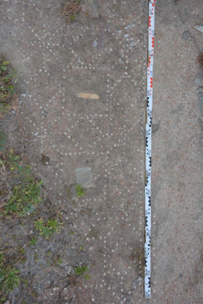 IX.5.18 Pompeii. May 2017. Room “f”, detail of flooring near north wall.
Foto Christian Beck, ERC Grant 681269 DÉCOR.
