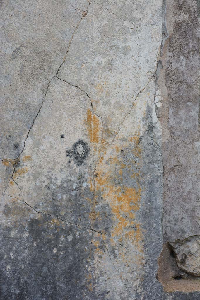 IX.5.18 Pompeii. March 2017. Room g, detail from south side of central painting on west wall.
Foto Christian Beck, ERC Grant 681269 DÉCOR.

