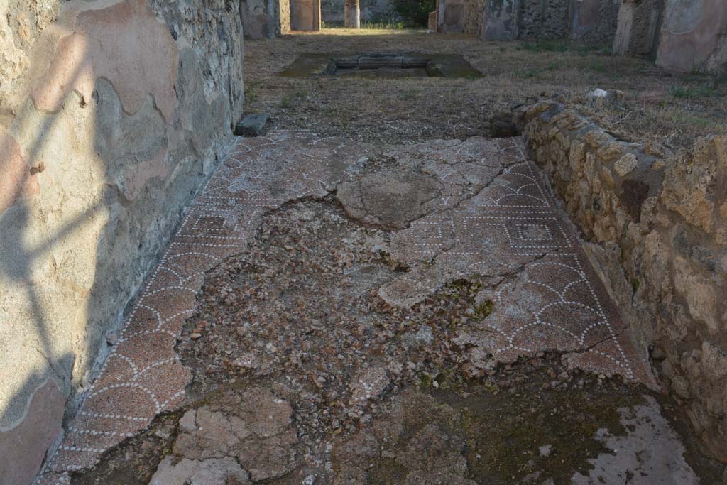 IX.6.4 Pompeii. October 2019. Looking east across decorative mosaic towards atrium with impluvium.
Foto Annette Haug, ERC Grant 681269 DÉCOR.