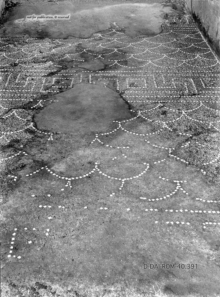 IX.6.5 Pompeii. c.1930. Vestibule/entrance corridor 1, decorated flooring.
DAIR 40.391.Photo © Deutsches Archäologisches Institut, Abteilung Rom, Arkiv.
See Pernice, E. 1938. Pavimente und Figürliche Mosaiken: Die Hellenistische Kunst in Pompeji, Band VI. Berlin: de Gruyter, (p.46f, and tav. 15.1 above.)