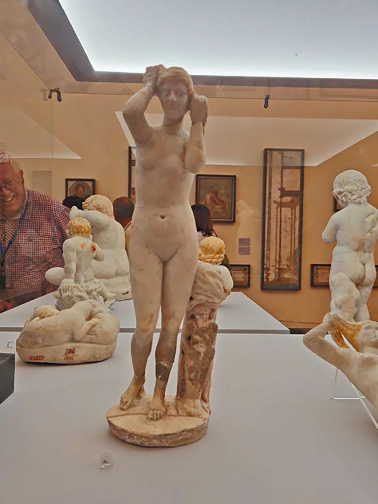 IX.6.5 Pompeii. October 2023. White marble statue of Venus, found in tablinum “g”, 08/10/1878.
Photo courtesy of Giuseppe Ciaramella. Now in Naples Archaeological Museum, (inv. 111383).
On display in “L’altra MANN” exhibition, October 2023, at Naples Archaeological Museum.
See Marmora Pompeiana nel Museo Archeologico Nazionale di Napoli: Studi della SAP 26, (p. 176, D19).