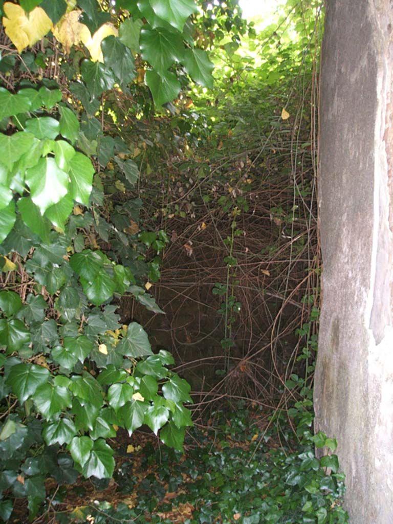 IX.7.16 Pompeii. May 2005. Looking east along entrance corridor.