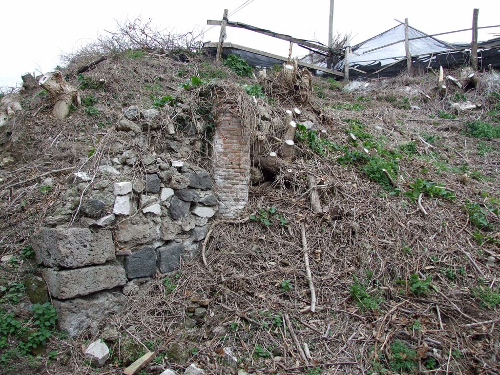 IX.7.20 Pompeii. December 2007. Looking north-east into the unexcavated area.