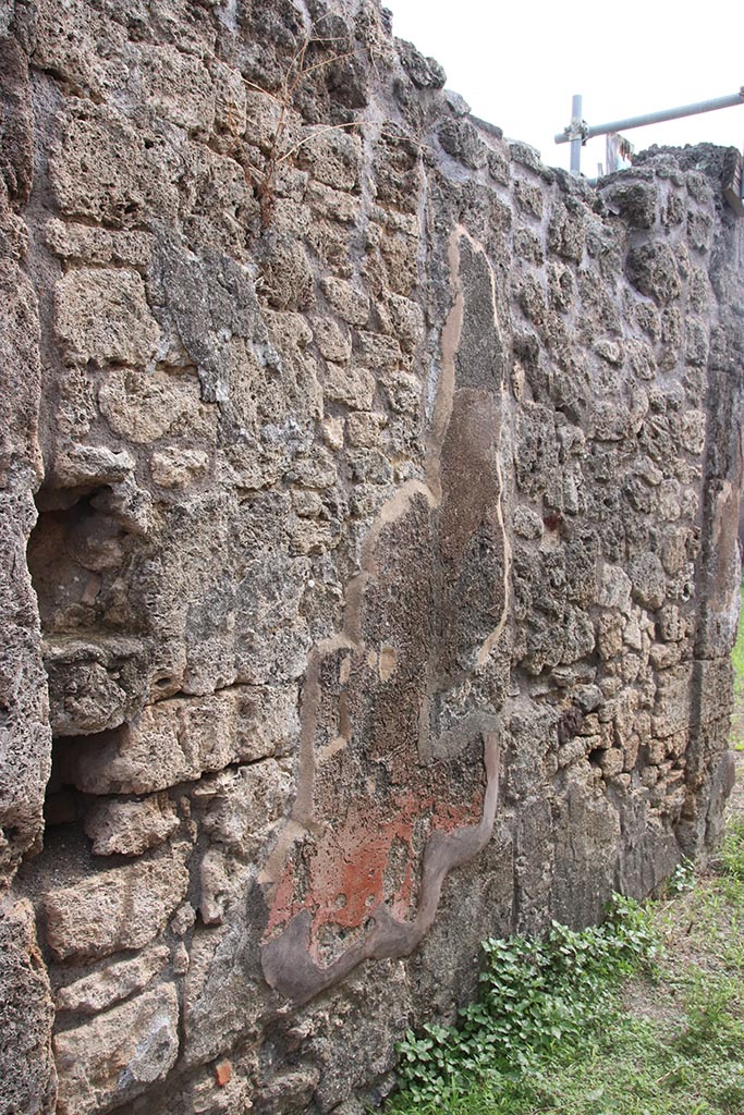 IX.7.25 Pompeii. October 2024.
East wall of entrance corridor/fauces. Photo courtesy of Klaus Heese.