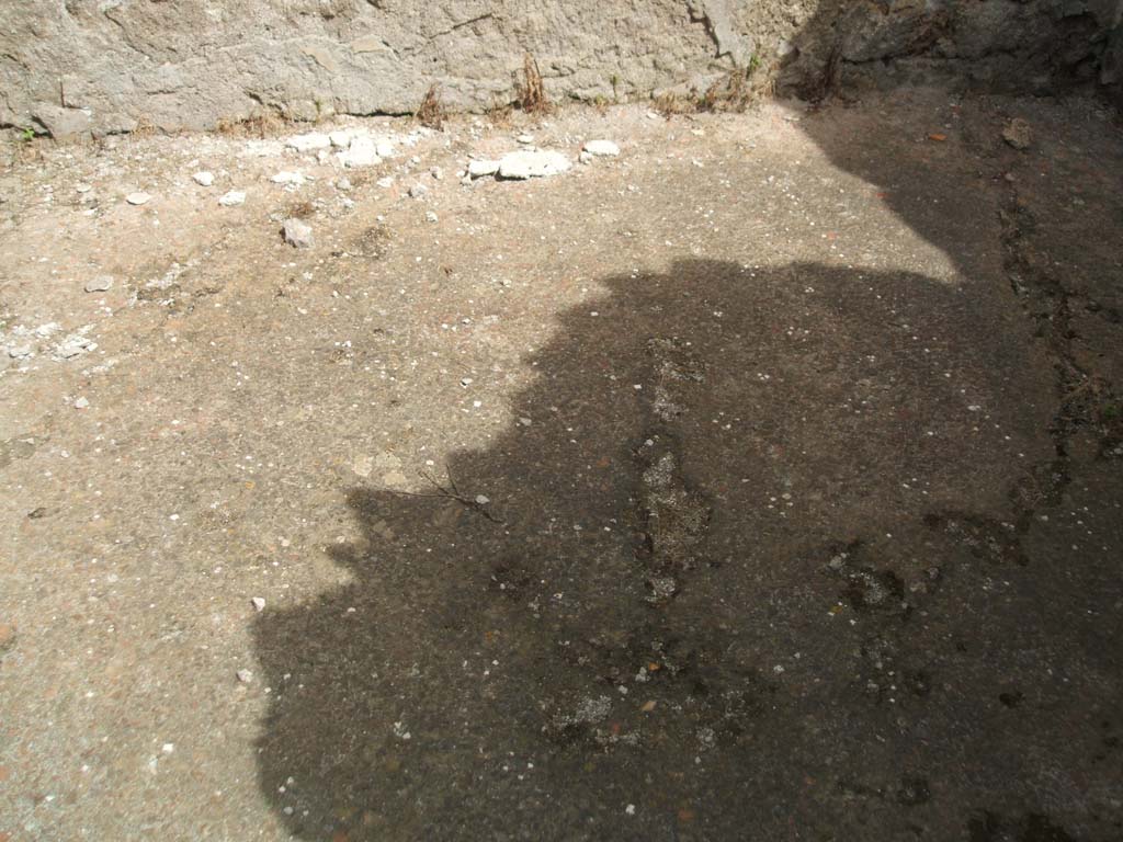 IX.7.25 Pompeii. May 2005. Floor in cubiculum “b”, on east side of entrance corridor.
According to Mau, this flooring was of opus signinum (cocciopesto) and was decorated with thin lines of little stars composed of white and black stones.
The area for the couch/bed was on the right of the entrance doorway, divided from the rest of the room by a line of white stones.
See Mau in Bullettino dell’Instituto di Corrispondenza Archeologica (DAIR), 1882, (p.177)