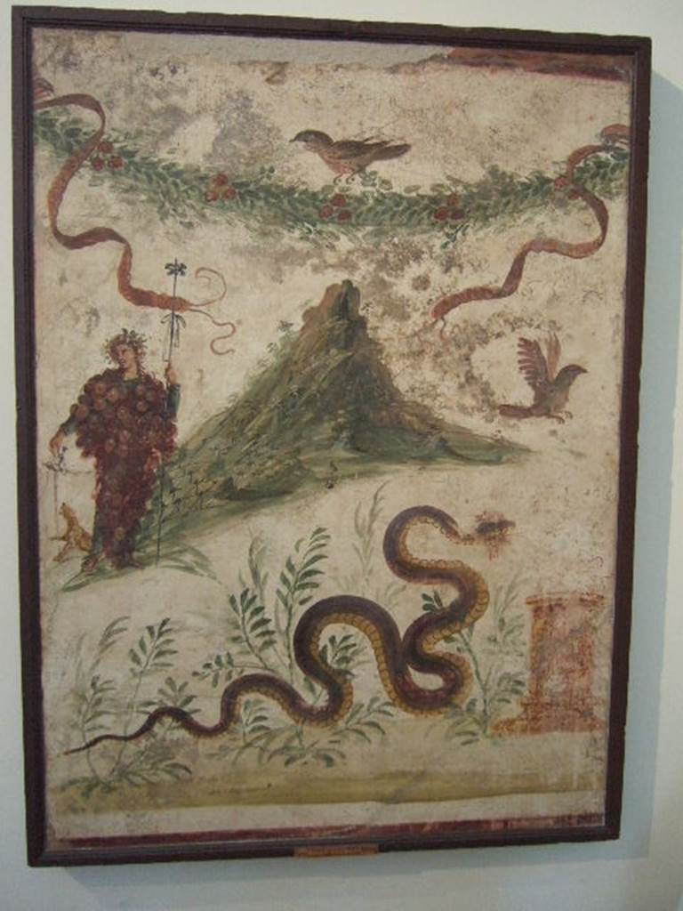 IX.8.3-6 Pompeii.  Found in Atrium of servants quarters (see IX.8.6 for exact position).  Lararium painting of Bacchus wearing a bunch of grapes.  Also in the painting are a garland, birds and a snake approaching a round altar from the left.   Bacchus is pouring wine for the panther to drink.   The mountain slopes are covered in vines. Now in Naples Archaeological Museum.  Inventory number: 112286. See Fr�hlich, T., 1991. Lararien und Fassadenbilder in den Vesuvst�dten. Mainz: von Zabern. (L107, T: 11). See Boyce G. K., 1937. Corpus of the Lararia of Pompeii. Rome: MAAR 14. (p.89, no.448, with Pl.40,2) 
