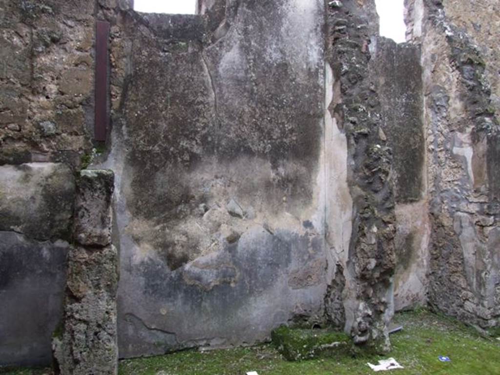 IX.8.6 Pompeii. March 2009. Room 36, West wall.