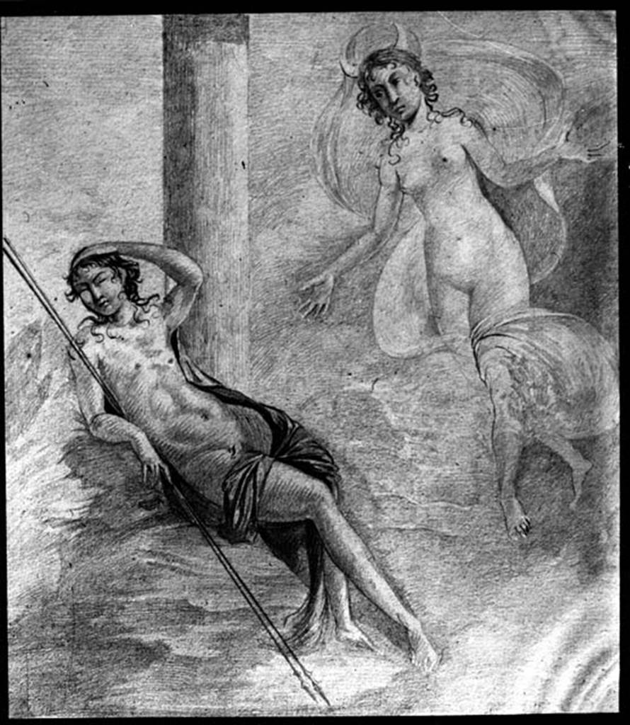 IX.8.6 Pompeii. W.1465. Room 39, drawing of wall painting of Endymion and Selene.
Photo by Tatiana Warscher. Photo © Deutsches Archäologisches Institut, Abteilung Rom, Arkiv.