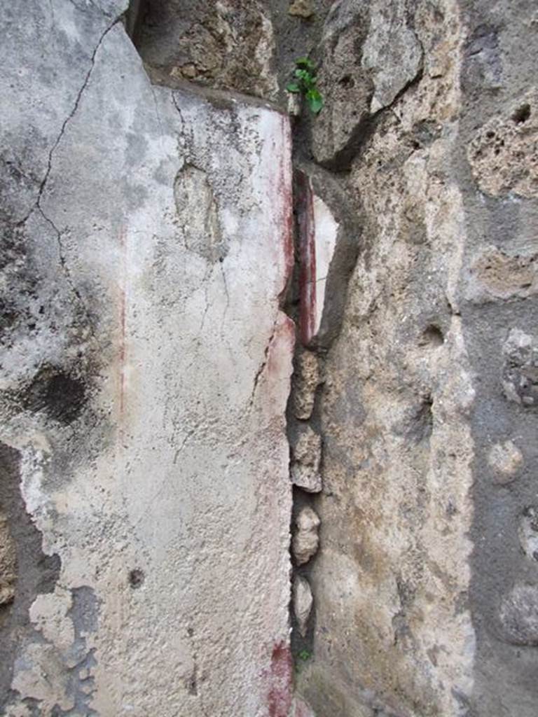 IX.8.6 Pompeii. March 2009. Room 50 of IX.8.3. Cubiculum.