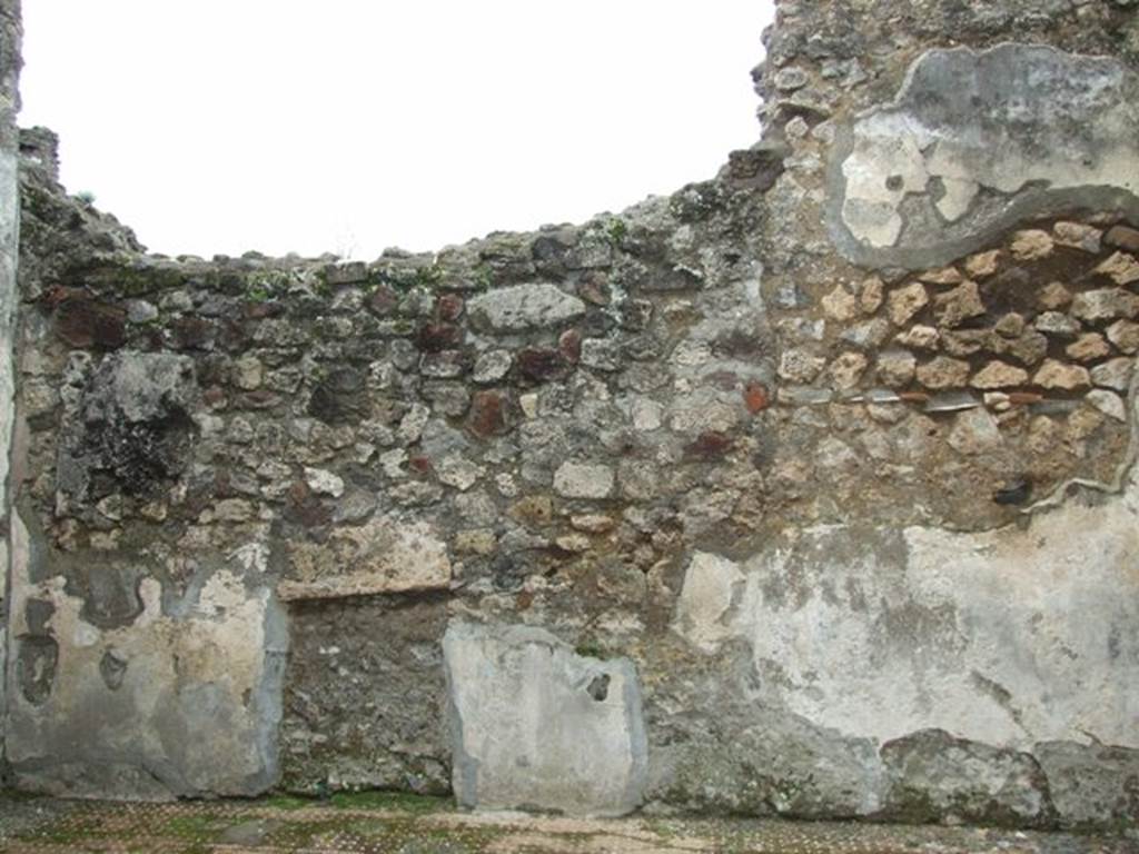 IX.8.6 Pompeii. March 2009. Room 7, West wall.