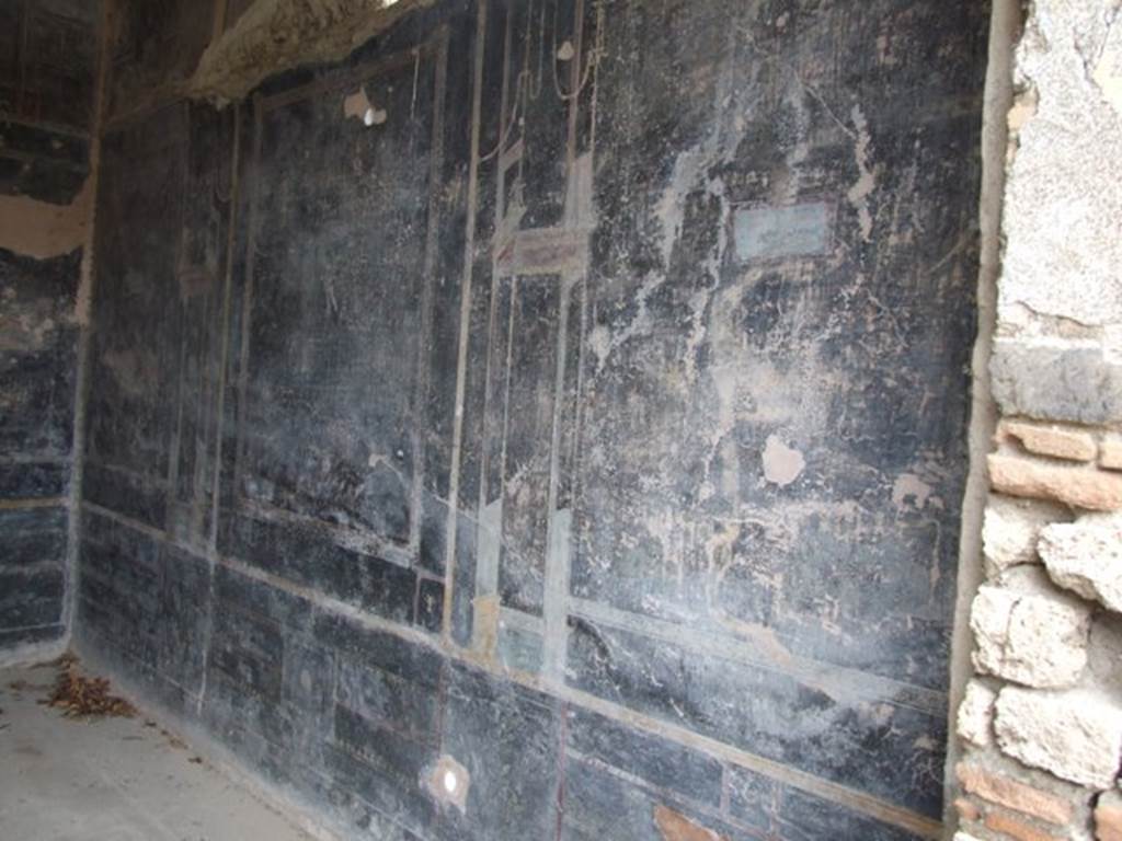 IX.8.6 Pompeii. March 2009. Room 11, East wall.