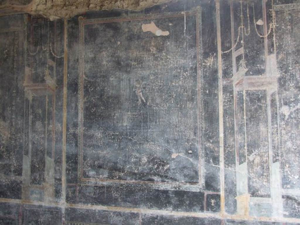 IX.8.6 Pompeii. March 2009. Room 11, East wall. Central panel.