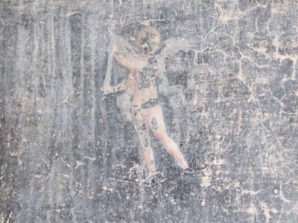 IX.8.6 Pompeii. March 2009. Room 11. East wall. Cupid in central panel.