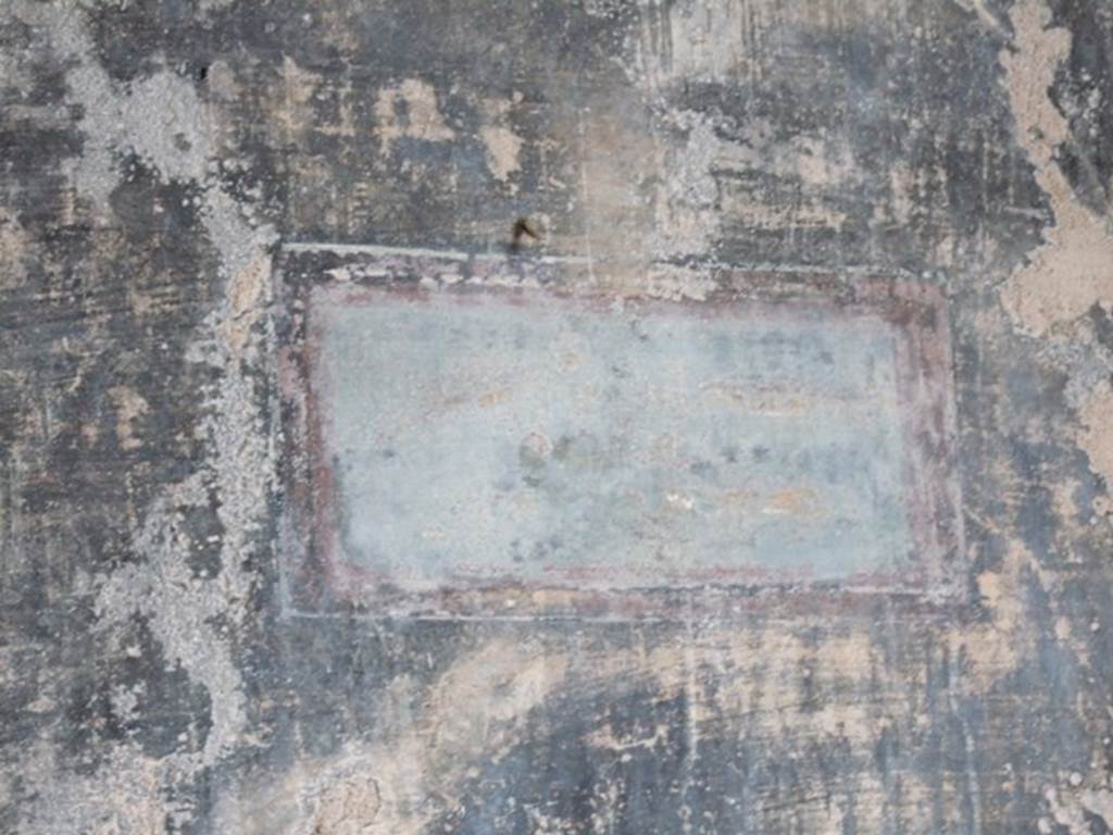 IX.8.6 Pompeii. March 2009. Room 11. Painted panel on East wall.