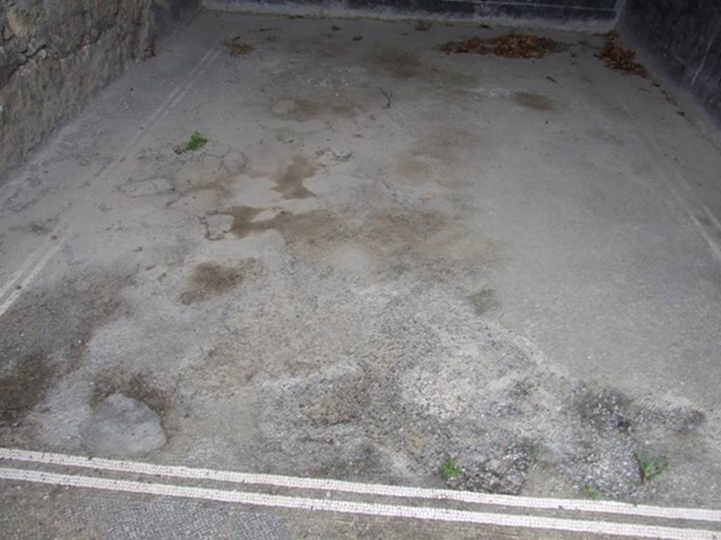 IX.8.6 Pompeii. March 2009. Room 11. Mosaic floor.