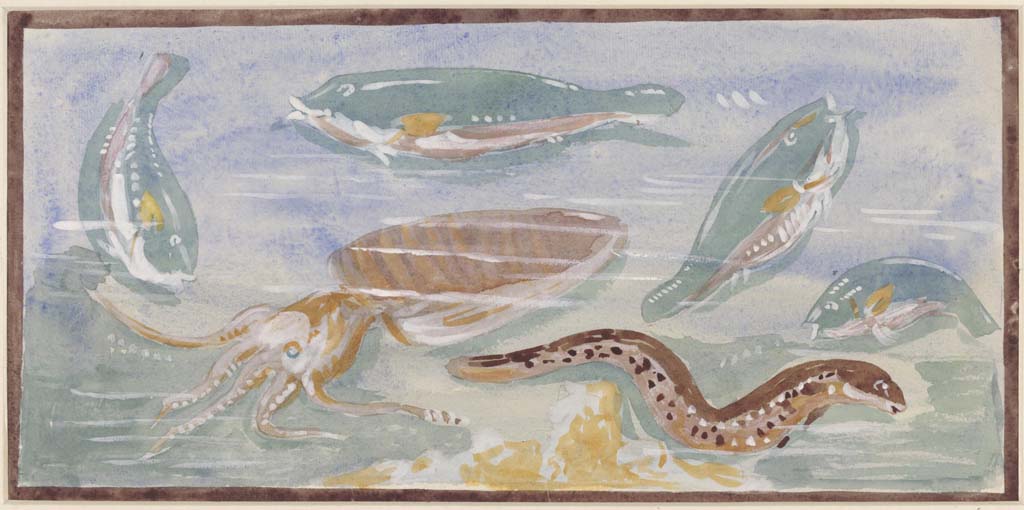 IX.8.6 Pompeii. c.1870�s. Painting by Sydney Vacher, showing detail from east side of nymphaeum, in south-east corner.
Photo � Victoria and Albert Museum, inventory number E.4396-1910.
