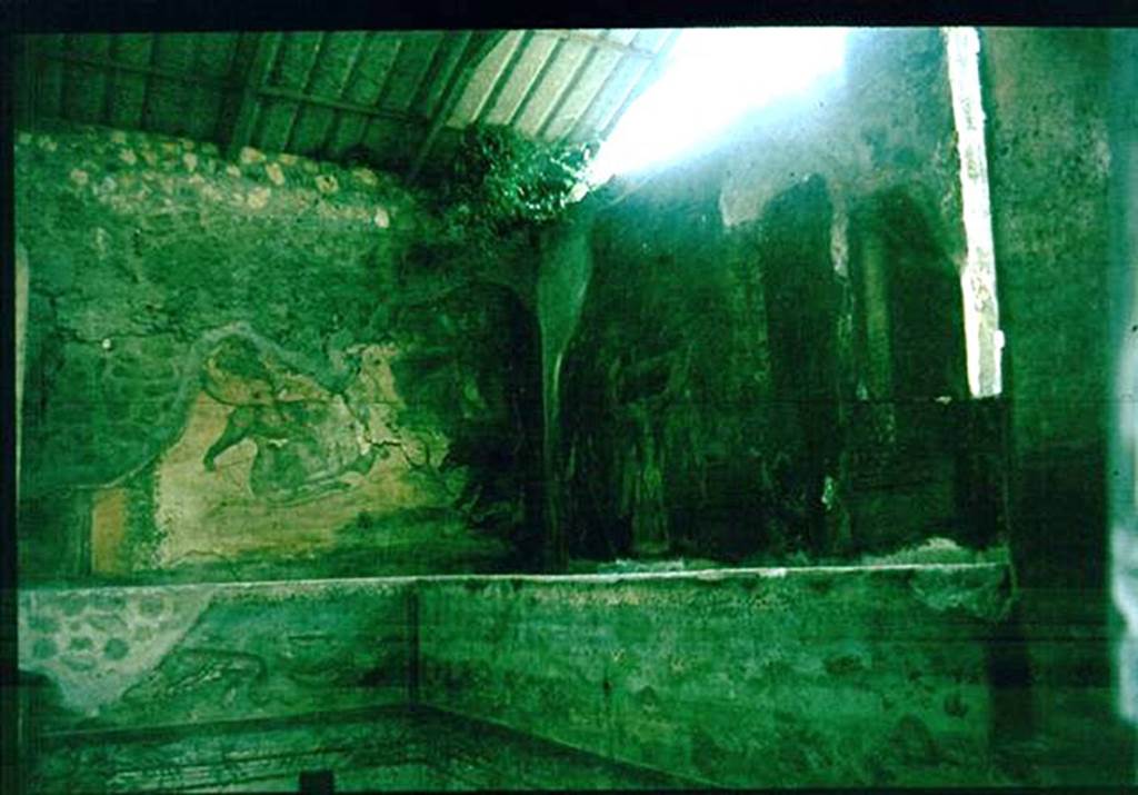 IX.8.6 Pompeii. West side of nymphaeum, south of peristyle. 
Photographed 1970-79 by G�nther Einhorn, picture courtesy of his son Ralf Einhorn.
