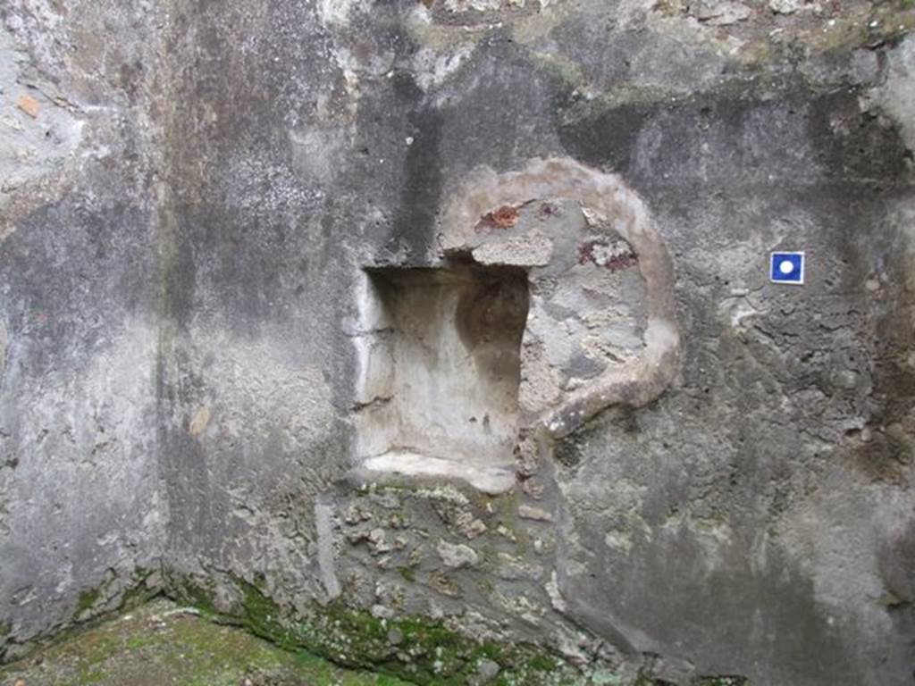 IX.8.6 Pompeii. March 2009. Room 24 west wall with niche.