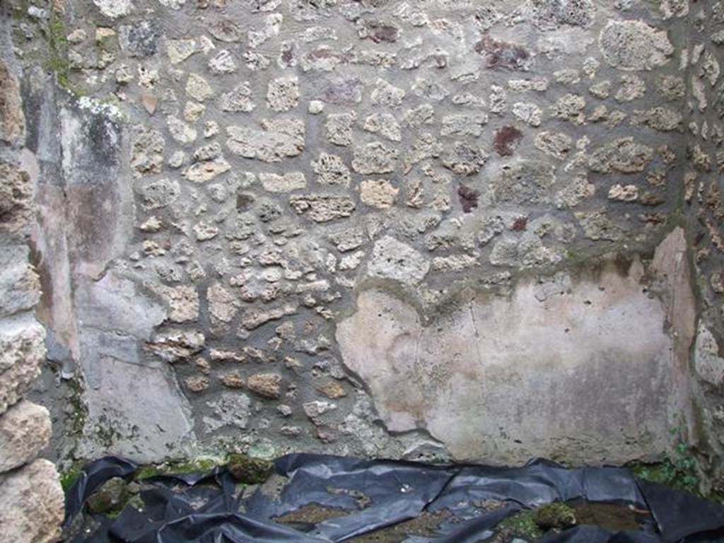 IX.8.6 Pompeii. March 2009. Room 25. South wall.
