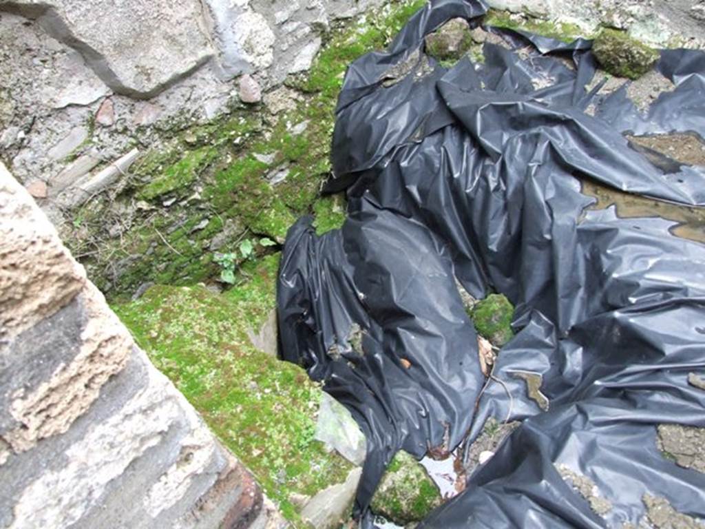 IX.8.6 Pompeii. March 2009. Room 25. East wall.