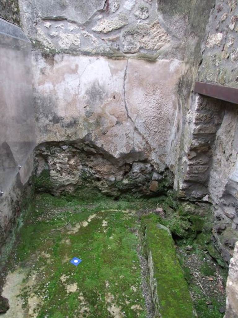 IX.8.6 Pompeii. March 2009. Room 27. Looking south.