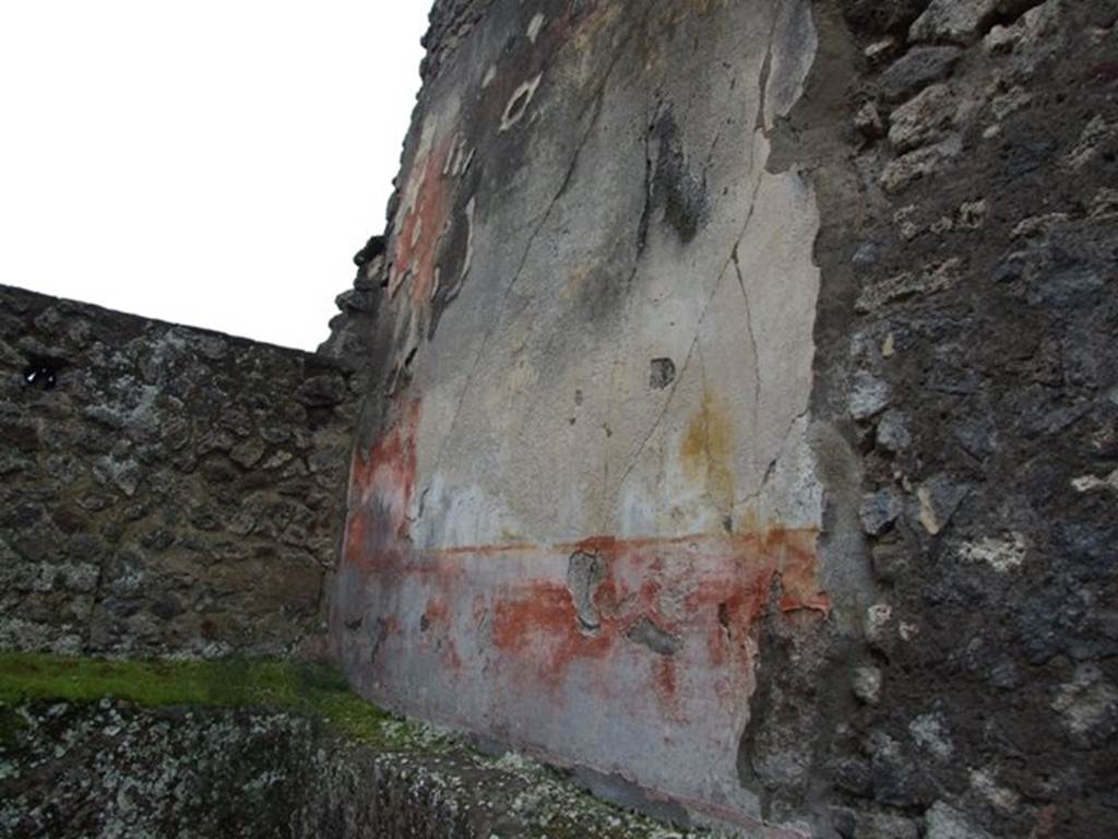 IX.8.6 Pompeii. March 2009. Room 31. West wall.