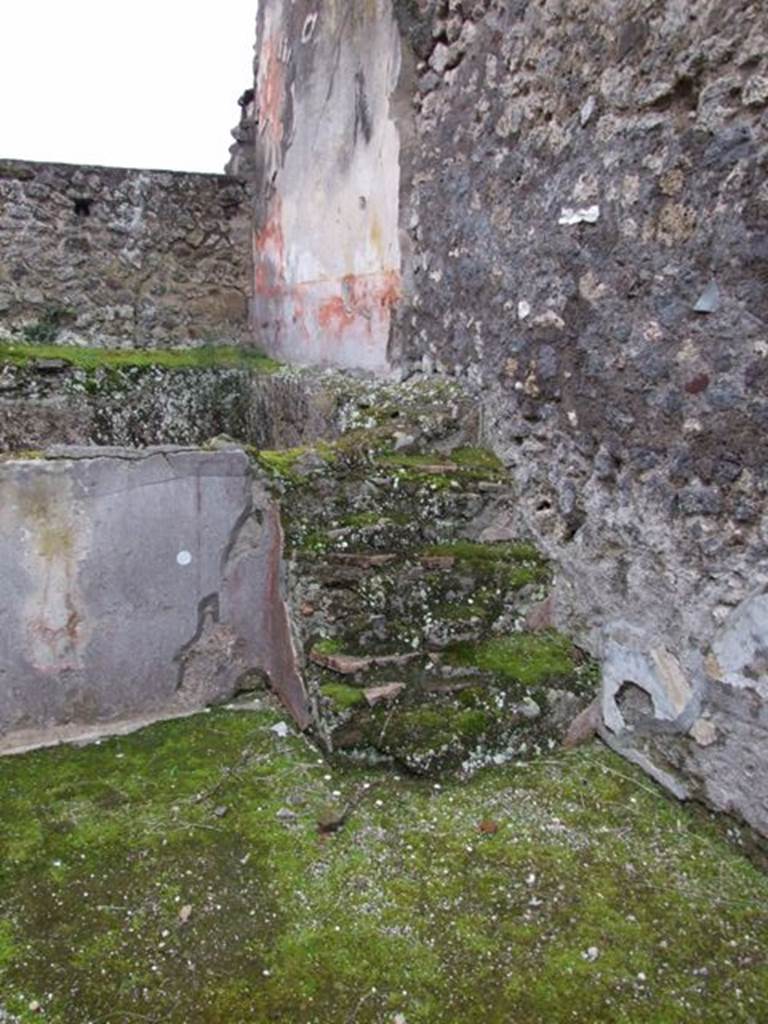 IX.8.6 Pompeii. March 2009. Room 31, Steps to swimming pool on south west side.