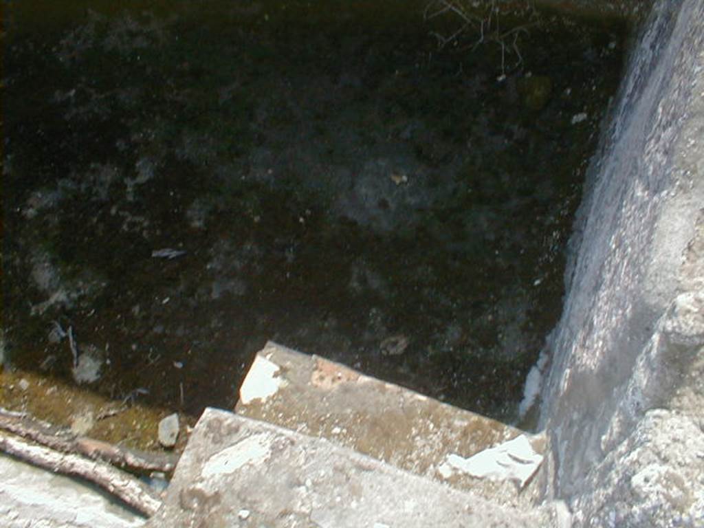 IX.8.6 Pompeii. September 2004. Room 31. Steps into swimming pool.